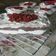 Cooksnap dari Mira Rozanna untuk resep Red velvet mini Cups; tanpa mixer, satu Telur
