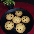 Jharna Shaoo's cooksnap of when they made চকো বাটার কুকিজ(Choco Butter Cookies recipe in Bengali).