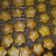 Cooksnap dari Prita untuk resep Almond Cookies