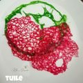 Cooksnap dari Clarissa's Kitchen untuk resep Tuile (utk garnish/hiasan plating)
