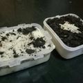 Cooksnap dari megamasyithaa untuk resep Cheesecake oreo simple