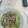 El cooksnap de celia Guijarro cuando hizo Spaguettis de calabacín con champiñones.