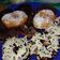 Cooksnap dari Ayu Mustika Ningrum untuk resep Donat kentang dengan white ring