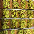 صورة من فراشة الربيع ، شاركها بعد تجربة وصفة هريسة محشية بالقريشة 😋