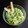 El cooksnap de Daiana Guibaudo cuando hizo Guacamole súper súper fácil👌.
