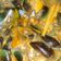 Cooksnap dari Roma untuk resep Kerang Hijau Saus Padang