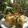 Mrs. Snehal Rohidas Rawool's cooksnap of when they made खमण ढोकळा (khaman dhokla recipe in marathi).