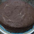 Cooksnap dari dian farah untuk resep Bolu coklat kukus sederhana