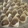 Cooksnap dari Cindy Chen untuk resep Sup wonton / pangsit goreng