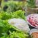 Cooksnap của Nguyễn Hoàng Yến khi họ làm theo món Bắp bò nhúng dầu giấm