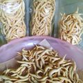 Cooksnap dari Ay Ay untuk resep Gabus Keju