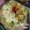 Cooksnap dari Clarissa's Kitchen untuk resep Tahu Egg Roll
