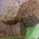 Cooksnap dari Ayu Bekti untuk resep Bolu pisang kukus moist,empuk