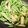 Eat 的 四季豆炒玉米筍(簡單料理) cooksnap