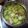 Cooksnap dari Novi Seliani Cannaga untuk resep #557. Sup Oyong Soun Telur Puyuh