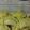 El cooksnap de Olga Freiberg cuando hizo Empanadas criollas con masa casera.