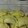 El cooksnap de Olga Freiberg cuando hizo Empanadas criollas con masa casera.