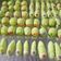Cooksnap dari devi puspitasari untuk resep Kue ulat 🐛🐛🐛