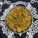Bhavna Lodhiya's cooksnap of when they made દૂધી કોથમીર ના મુઠીયા (Dudhi Kothmir Muthiya Recipe In Gujarati).