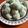 Cooksnap dari Elly Yustina untuk resep Klepon Ketan Isi Gula Merah <No Kapur Sirih>