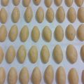 Cooksnap dari Nona oebobo untuk resep Kue Bagea Kacang