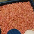 Cooksnap dari Alfianda Rahayu untuk resep Jipang/teng teng (Nasi)