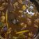 Cooksnap dari dina carollina untuk resep Rawon daging