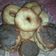 Cooksnap dari n rj n h untuk resep Donat tanpa telur