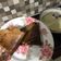 Cooksnap dari wuls untuk resep Martabak Tipis Kering (Tipker) renyah pakai teflon no mixer