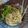 Cooksnap dari Intan Wilujeng untuk resep Mie ayam ala jakarta
