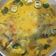 Cooksnap dari keropie sweet untuk resep Lodeh Ikan Semar/Ikan Etem Asap