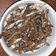 Cooksnap dari diastuti adjam untuk resep Sayur darat/lempah darat kates muda dan oseng2 ilan laba.