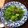 Lin Shu Jhen 的 蒜炒大陸妹 cooksnap