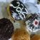 Cooksnap dari ambar budhiann untuk resep Donat kentang NCC