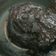 Cooksnap dari sindy untuk resep Selai coklat (filling isian roti, mochi, puff, dll)