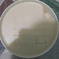 Cooksnap dari kartika intan untuk resep Puding (Agar-agar) Tape Santan