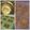 kinaco's cooksnap of when they made Sakura and Matcha Cookies.