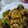 satnamkaur khanuja's cooksnap of when they made દૂધી નાં મૂઠિયાં (Dudhi Muthiya Recipe in Gujarati).