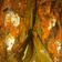 Cooksnap dari Eka Setyowati untuk resep Pepes Ikan Kembung