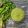 Beena Radia's cooksnap of when they made લીલી ચટણી(Green Chutney Recipe In Gujarati).