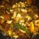 Cooksnap dari Mirna Meisela untuk resep Ayam kecap (bisa untuk anak2)