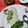 Dipti Mehrotra's cooksnap of when they made Idli sambhar.