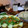 El cooksnap de Jorge cuando hizo Chernia-pescado a la vasca.