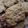 El cooksnap de gracemoriconi13 cuando hizo Galletitas de avena con chocolate y nueces.