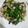 Wm💋 的 薑絲韭菜炒小卷 cooksnap