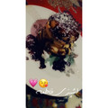 کوک اسنپ Fatemeh بعد از امتحان کردن پنکیک سکه ای 🌸.