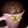 El cooksnap de Valeria Derigo cuando hizo Mug cake de chocolate, ideal para compartir en san valentín.