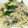 Cooksnap dari lisalissie untuk resep Smoked Beef Mushroom Fettuccine Alfredo Creamy - Mudah Simple