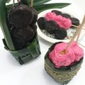 Cooksnap dari Martha Saragih Naibaho untuk resep Macaron Metode French Meringue With Takir Anyaman Pandan