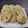 El cooksnap de Fernanda Merlan cuando hizo Galletitas crocantes con chips de chocolate.